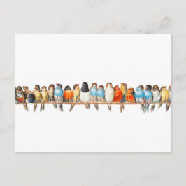 Postal Una Percha de Aves - ilustracion de pájaro vintage