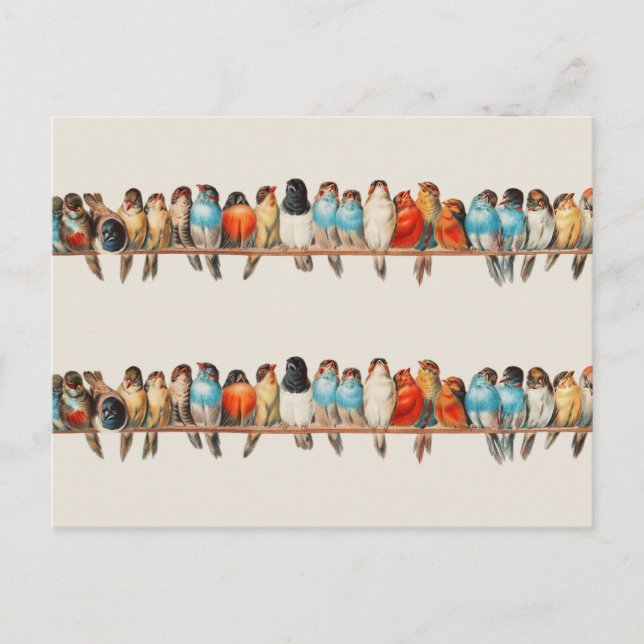 Postal Una percha de aves por Héctor Giacomelli