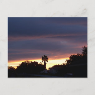 Postal Una puesta de sol oscura y una palmera en una post