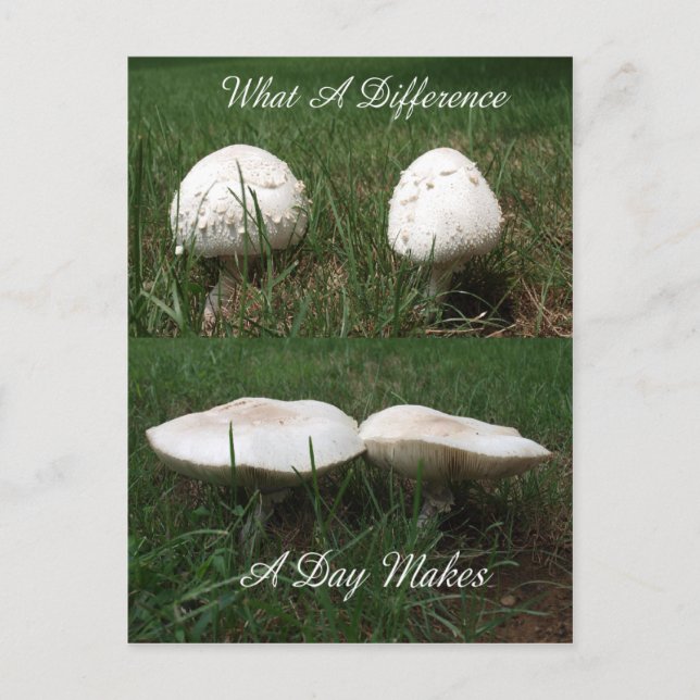 Postal Una qué diferencia al día hace (Anverso)