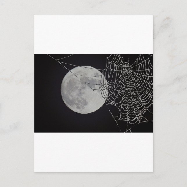 Postal Una red mundial (Anverso)