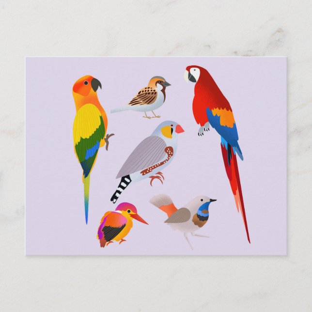 Postal Una reunión de pájaros (Anverso)