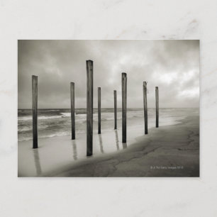 Postal Una toma de tono sepia de los viejos puestos de pl