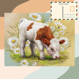 Postal Una vaca bebé en un campo de flores de margarita
