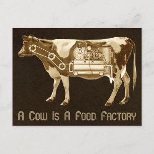 Postal Una Vaca Es Una Fábrica De Alimentos - Más Leche P