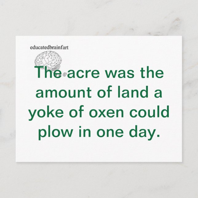 Postal Una verdad (Anverso)