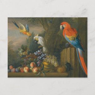 Postal Una vida quieta con fruta, loros y un coco