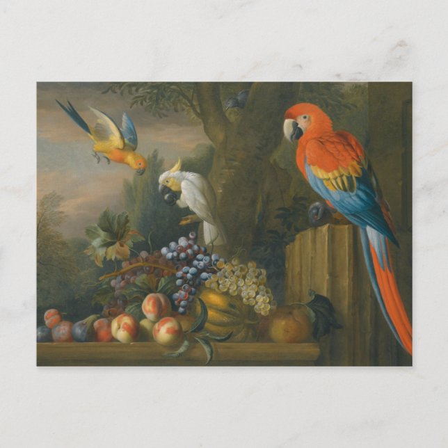 Postal Una vida quieta con fruta, loros y un coco (Anverso)