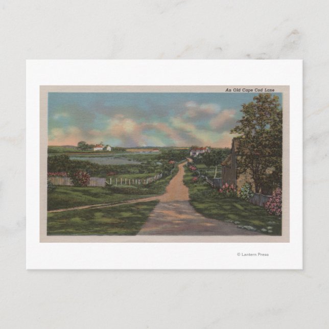 Postal Una vieja vista de las calles de Cape Cod (Anverso)