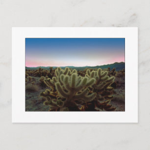 Postal "Una visión puntiaguda "