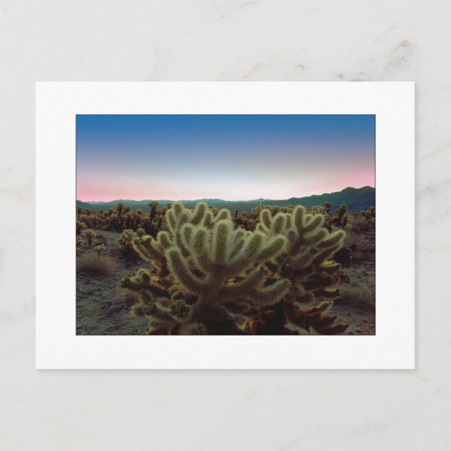 Postal "Una visión puntiaguda " (Anverso)