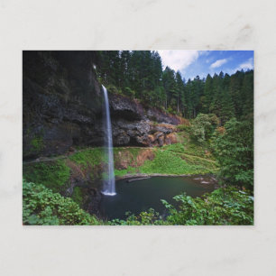 Postal Una vista de South Falls en Silver Falls State Par