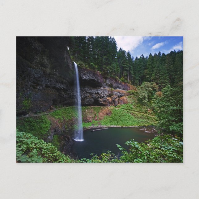 Postal Una vista de South Falls en Silver Falls State Par (Anverso)