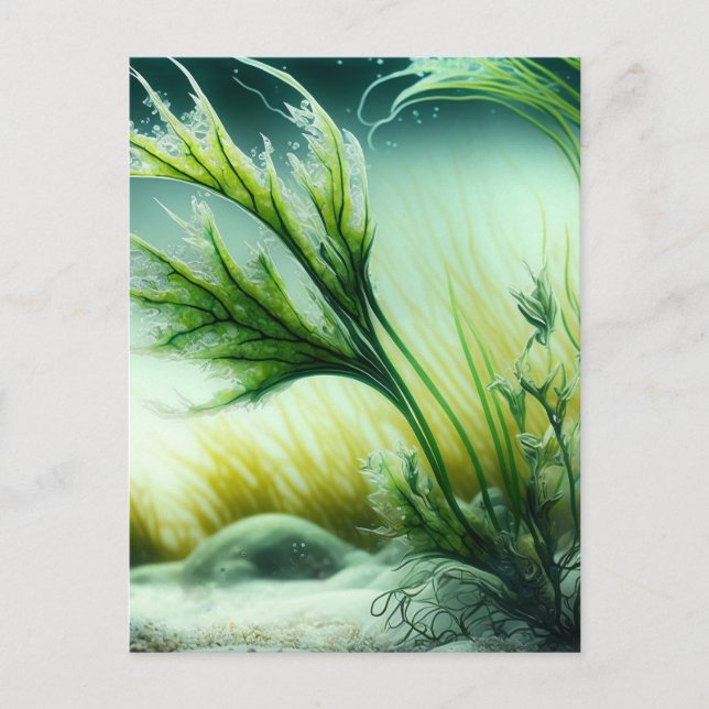 Postal Underwater Majesty (Anverso)