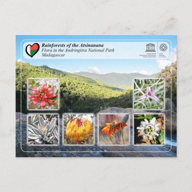 Postal UNESCO - Atsinanana - Parque nacional Andringitra (Anverso)