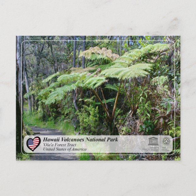 Postal UNESCO - Hawaii Volcanes NP - 'Ola'a Forest Post (Anverso)