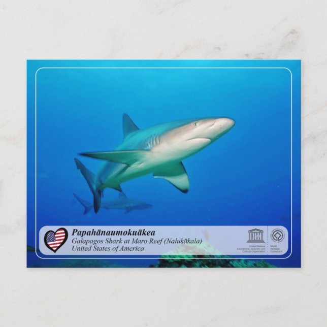 Postal UNESCO - Papahānaumokuākea - Postcarta de arrecife (Anverso)