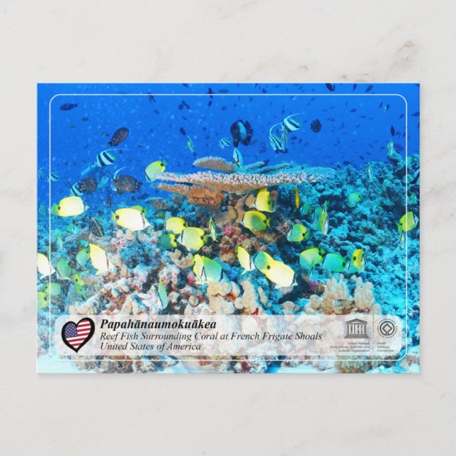 Postal UNESCO - Papahānaumokuākea - Zapatos de la fragata (Anverso)