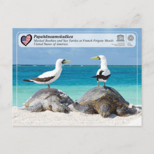 Postal UNESCO - Papahānaumokuākea - Zapatos de la fragata