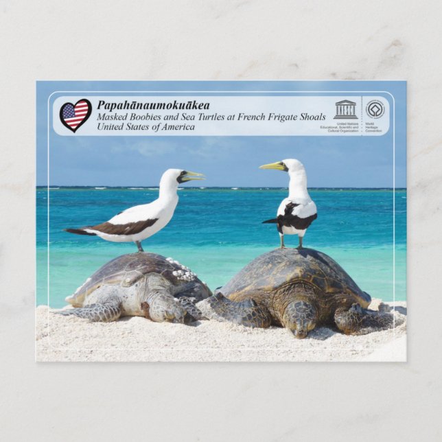 Postal UNESCO - Papahānaumokuākea - Zapatos de la fragata (Anverso)