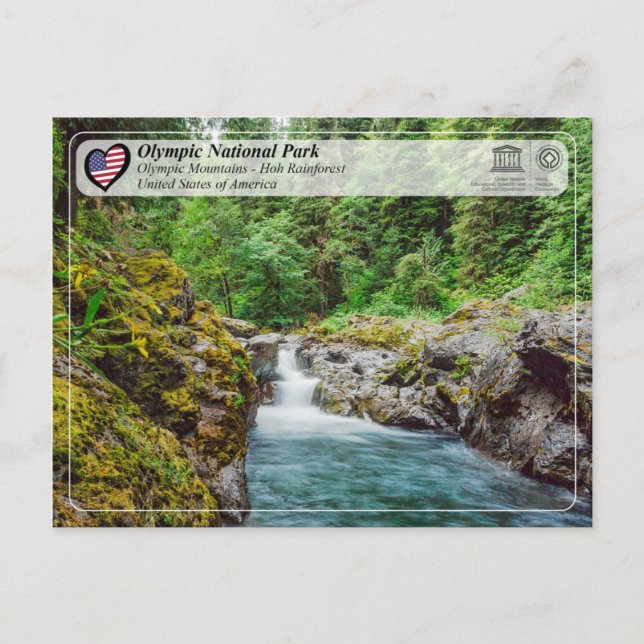 Postal UNESCO - Parque Nacional Olímpico - Hoh Rainforest (Anverso)