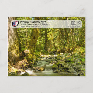 Postal UNESCO - Parque Nacional Olímpico - Hoh Rainforest