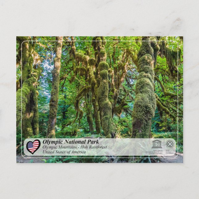 Postal UNESCO - Parque Nacional Olímpico - Hoh Rainforest (Anverso)