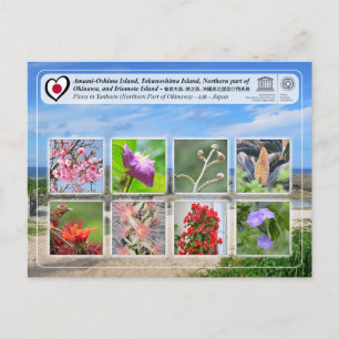 Postal UNESCO - Parte norte de la isla de Okinawa - 沖縄島北部