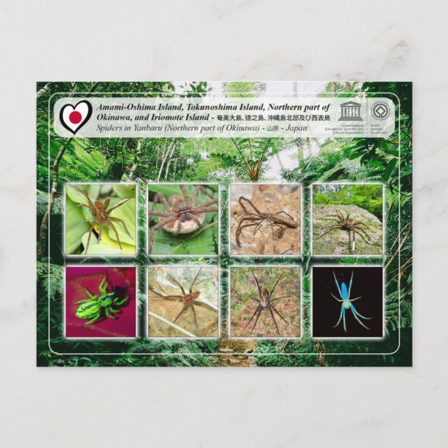 Postal UNESCO - parte norte de la isla de Okinawa - 沖 縄 島 (Anverso)