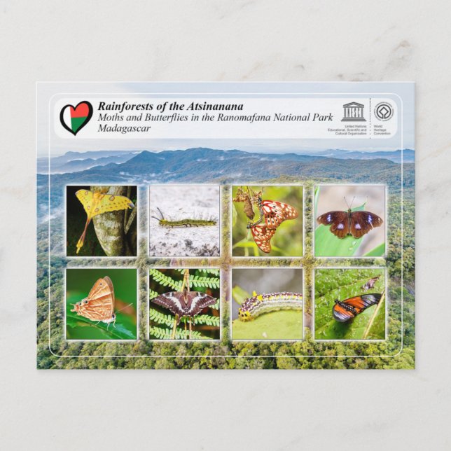Postal UNESCO WHS - Atsinanana - Ranomafana National Park (Anverso)