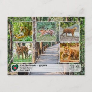 Postal UNESCO WHS - Los Sundarbans