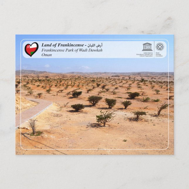 Postal UNESCO WHS - Parque Frankincense de Wadi Dawkah (Anverso)