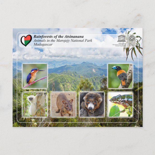 Postal UNESCO WHS - Parque nacional Atsinanana - Marojejy (Anverso)