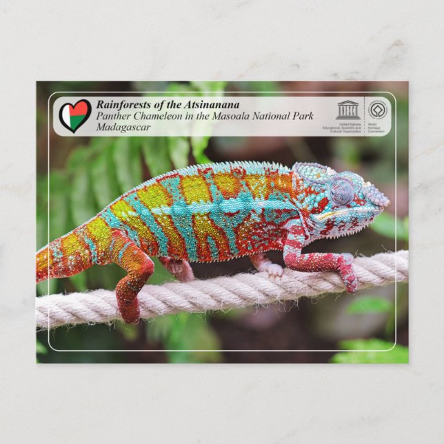 Postal UNESCO WHS - Parque nacional Atsinanana - Masoala (Anverso)