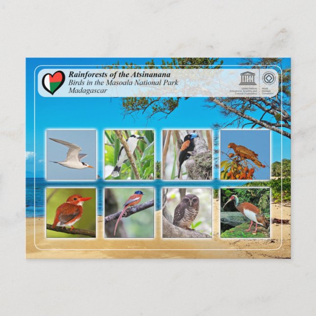 Postal UNESCO WHS - Parque nacional Atsinanana - Masoala (Anverso)