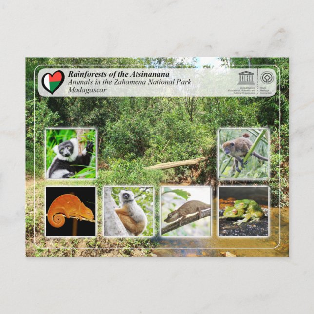 Postal UNESCO WHS - Parque nacional Atsinanana - Zahamena (Anverso)