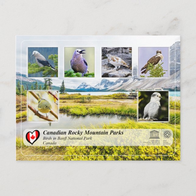 Postal UNESCO WHS - Parque nacional Banff (Anverso)