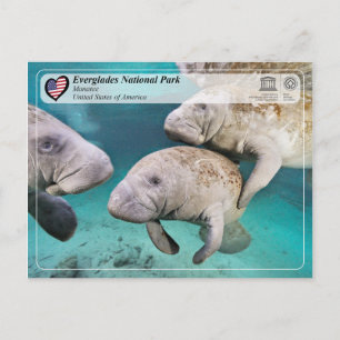 Postal UNESCO WHS - Parque nacional Everglades - Manatee