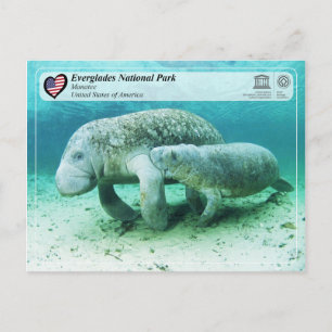 Postal UNESCO WHS - Parque nacional Everglades - Manatee