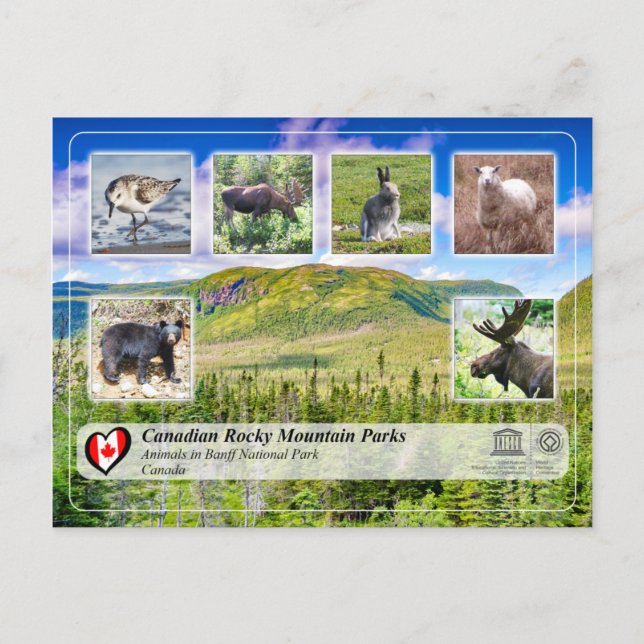 Postal UNESCO WHS - Parque nacional Gros Morne (Anverso)