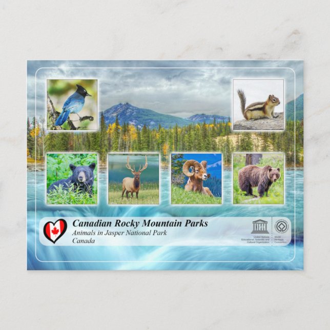 Postal UNESCO WHS - Parque nacional Jasper (Anverso)