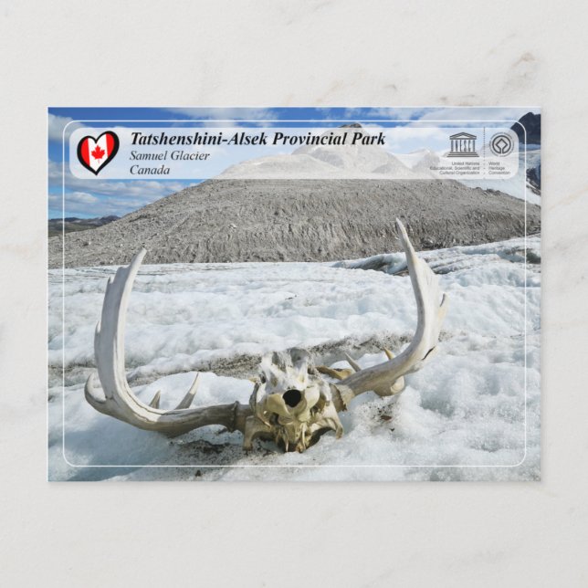 Postal UNESCO WHS - Parque provincial de Tatshenshini-Als (Anverso)