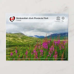 Postal UNESCO WHS - Parque provincial de Tatshenshini-Als