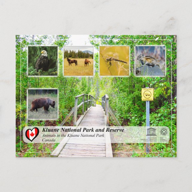 Postal UNESCO WHS - Parque y Reserva Nacional de Kluane (Anverso)