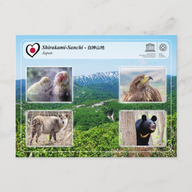Postal UNESCO WHS - Shirakami-Sanchi - 白神山地 (Anverso)