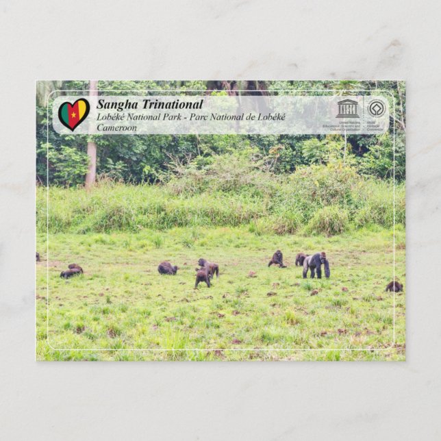 Postal UNESCO WHS - Trinational de Sangha - Lobéké (Anverso)
