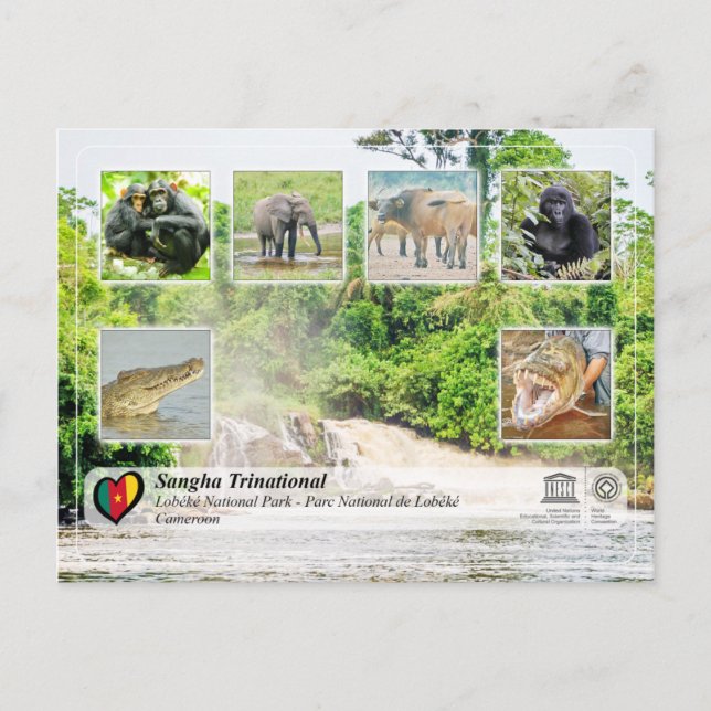 Postal UNESCO WHS - Trinational de Sangha - Lobéké (Anverso)