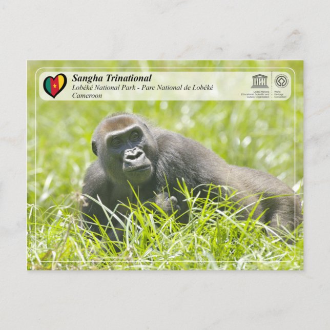Postal UNESCO WHS - Trinational de Sangha - Lobéké (Anverso)