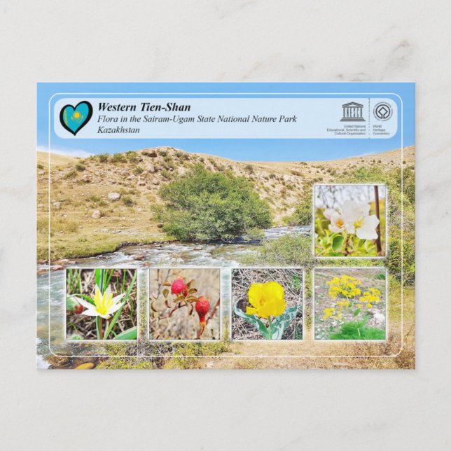 Postal UNESCO WHS - Western Tien-Shan - Sairam-Ugam (Anverso)
