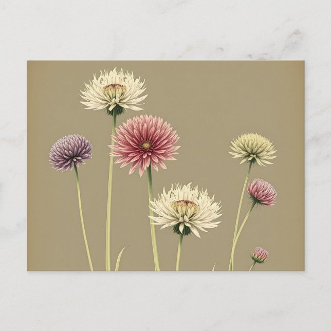 Postal Unguera floral romántica (Anverso)